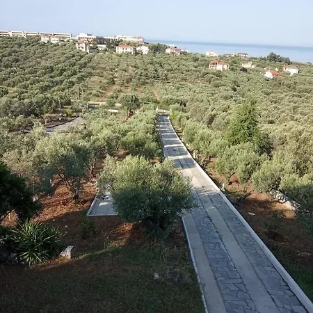 Appartement Olive&view *
