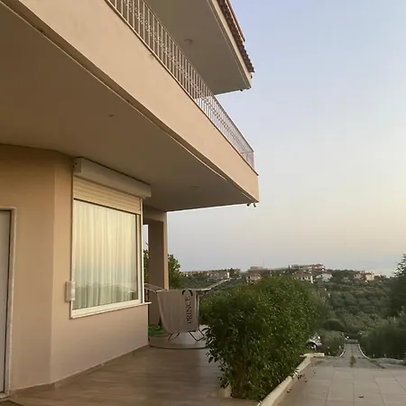 Olive&view