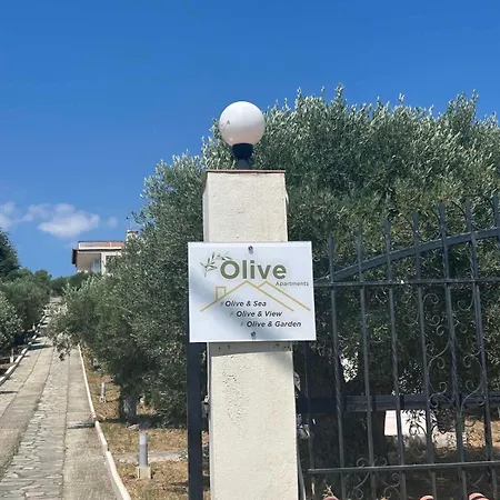 Olive&view *